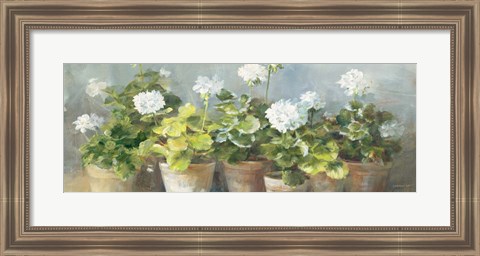 Framed White Geraniums v2 Print