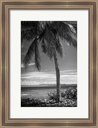 Framed Ocean View Print