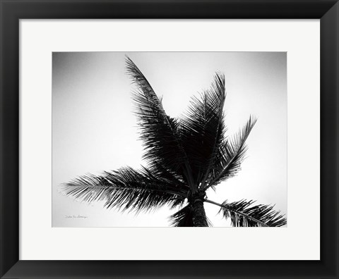 Framed Palm Tree Looking Up IV Print