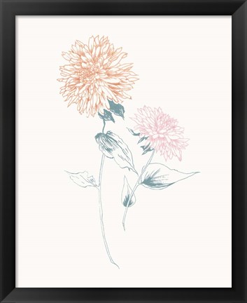 Framed Flowers on White IV Contemporary Print