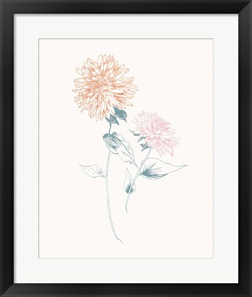 Framed Flowers on White IV Contemporary Print