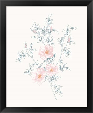 Framed Flowers on White II Contemporary Print