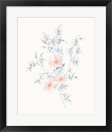 Framed Flowers on White II Contemporary Print