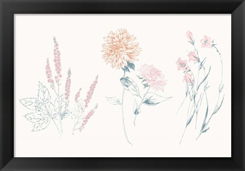 Framed Flowers on White VIII Contemporary Print