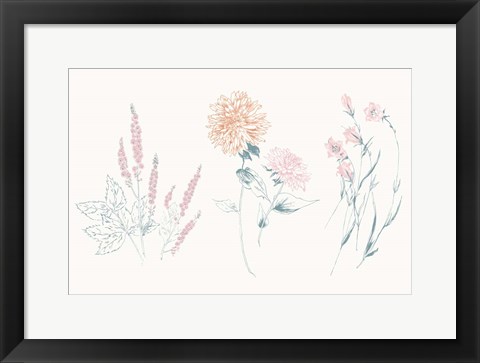 Framed Flowers on White VIII Contemporary Print