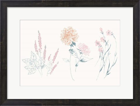 Framed Flowers on White VIII Contemporary Print