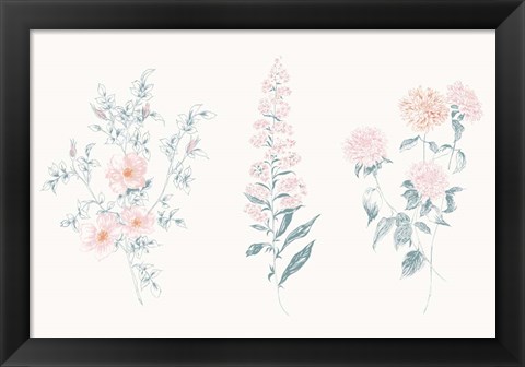 Framed Flowers on White IX Contemporary Print