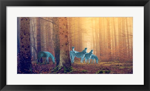 Framed In the Woods Print