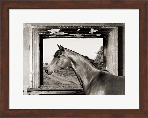 Framed Arab King (BW) Print