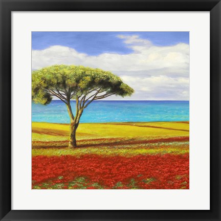 Framed Mediterraneo I Print