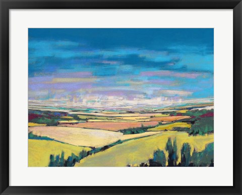 Framed Patchwork Fields V Print