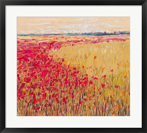 Framed Poppies Evening Light VII Print