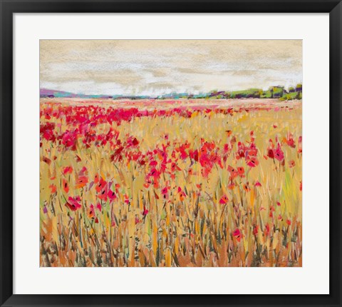 Framed Poppies Evening Light XI Print