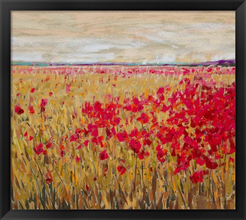 Framed Poppies Evening Light XII Print