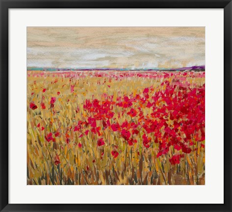 Framed Poppies Evening Light XII Print