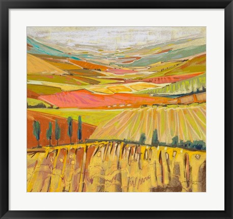 Framed Patchwork Hills II Print