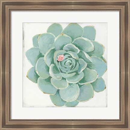 Framed Pastel Succulent I Print