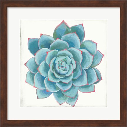 Framed Pastel Succulent II Print