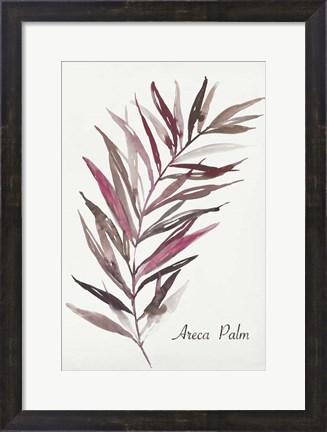 Framed Areca Palm Print