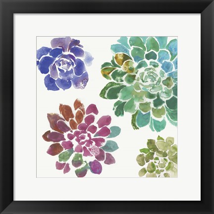 Framed Water Succulents II Print