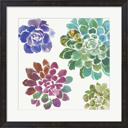 Framed Water Succulents II Print