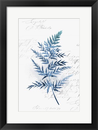 Framed Botanical Blue I Print