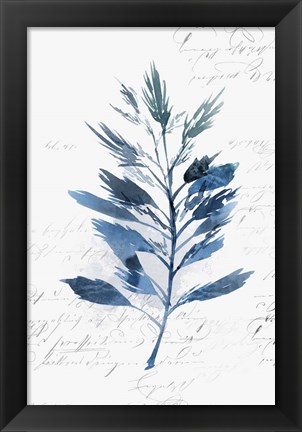 Framed Botanical Blue II Print