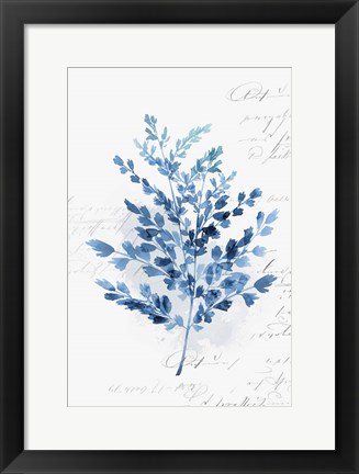 Framed Botanical Blue III Print