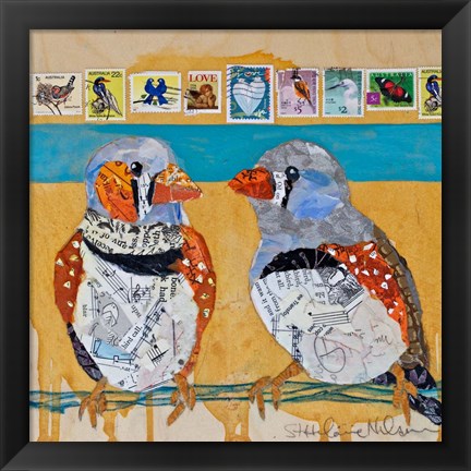 Framed Zebra Finch Lovebirds #4 Print