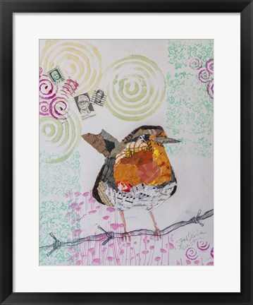 Framed Robin on White 1 Print