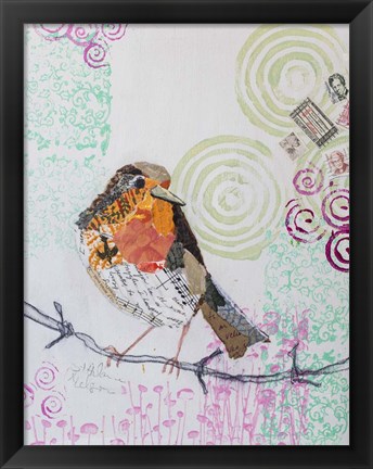 Framed Robin on White 2 Print