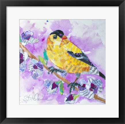 Framed Pinch of Gold Finch 2 Print