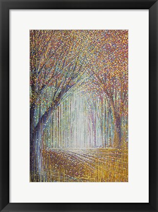 Framed Autumn Trees In Evening Light Print