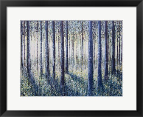 Framed Spring Light Through Forest Trees Print