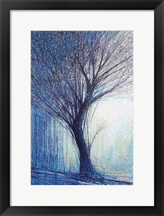 Framed Tree In Winter Light Print