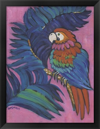 Framed Hot Tropical Parrot Print