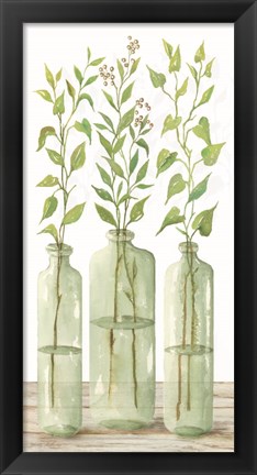 Framed Simple Leaves in Jar II Print