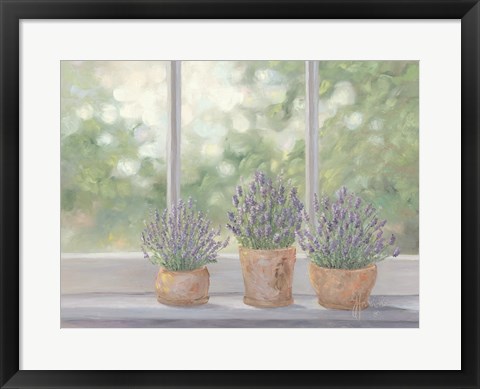 Framed Lavender Pots Print