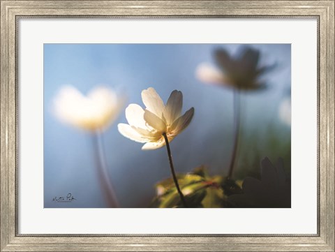 Framed Anemones in Blue Print