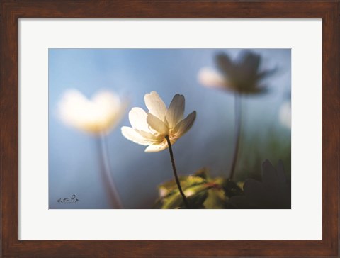 Framed Anemones in Blue Print