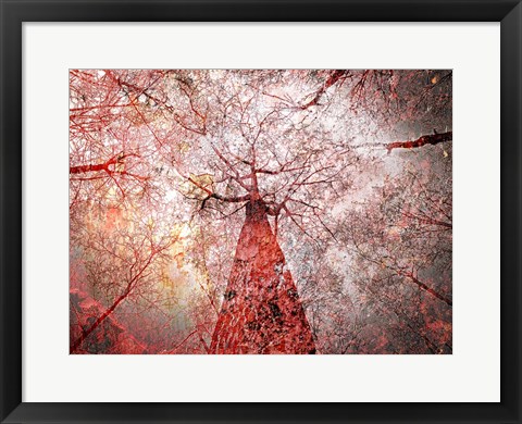 Framed Autumn Forest Print