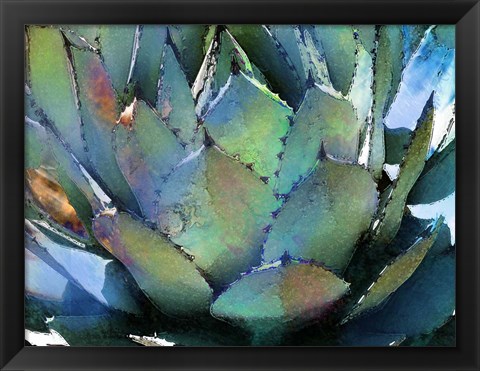 Framed Agave Print