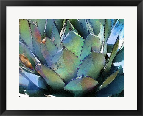 Framed Agave Print