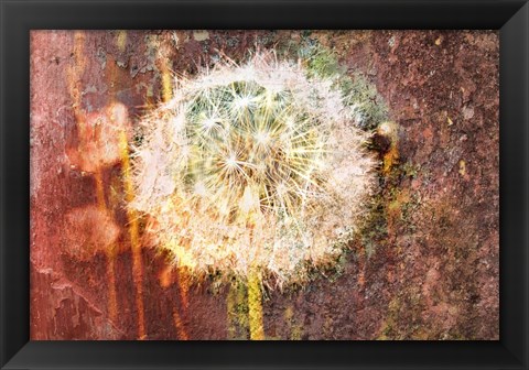 Framed Dandelion Print