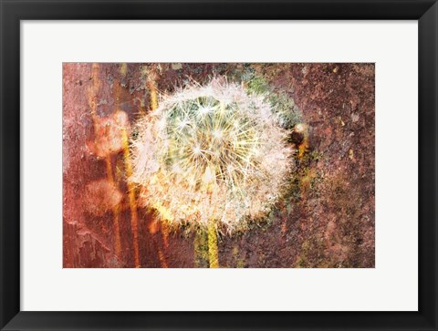 Framed Dandelion Print