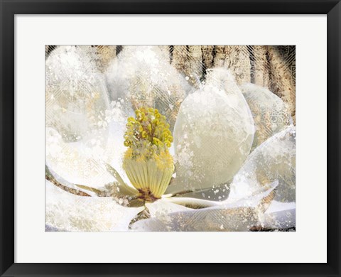 Framed Magnolia Tree Print