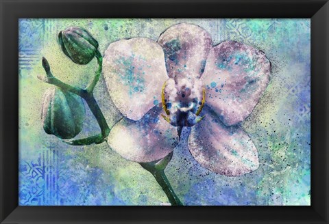 Framed Orchid Watercolor Print