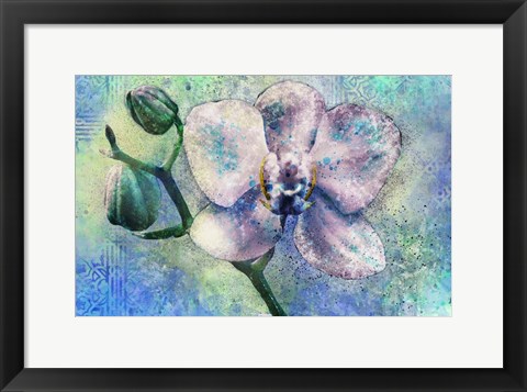 Framed Orchid Watercolor Print