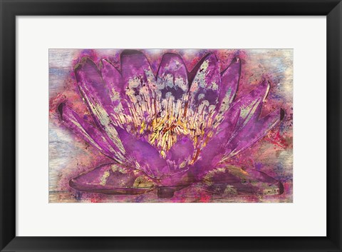 Framed Lotus 2 Print