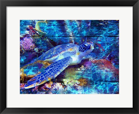 Framed Turtle Print